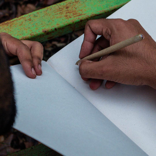 Seed Pen – Crafted from Recycled Paper with Plantable Seed - Ecosphere Stationery